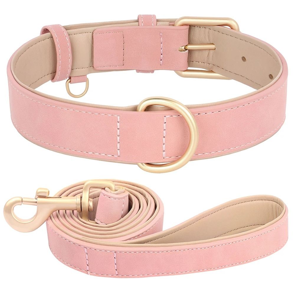Sophisticated Padded PU Leather Dog Collar & Leash Set – Adjustable Comfort Walk Kit