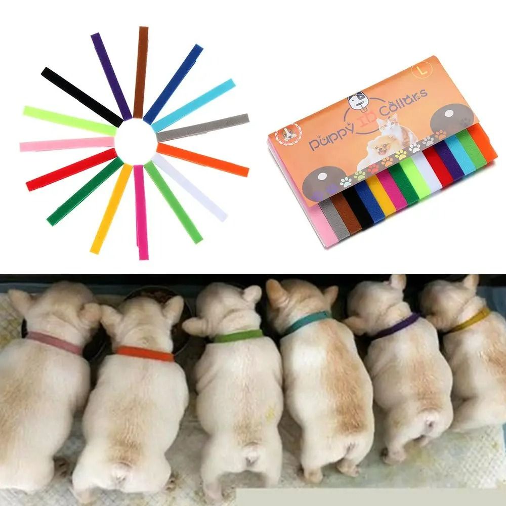 15-Piece Puppy & Kitten ID Collars โ Adjustable Soft Nylon Whelping Set