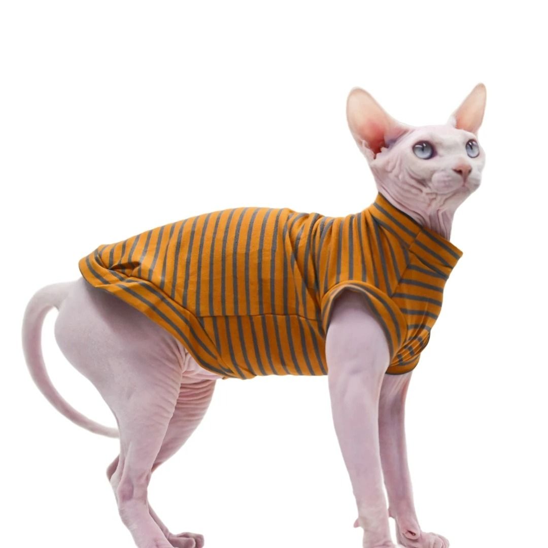 Summer Breathable Cotton Hairless Cat Vest