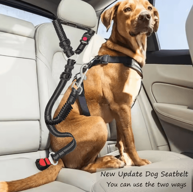 Heavy Duty Adjustable Dog Car Seat Belt Safety Leash for Secure Travel
