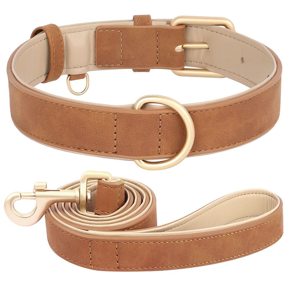 Soft Padded Leather Dog Collar and Leash Set