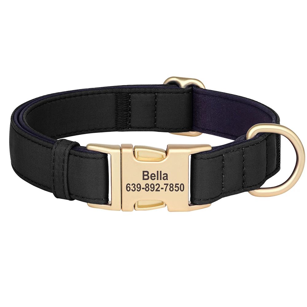 Personalized Waterproof Dog Collar with Soft Padding