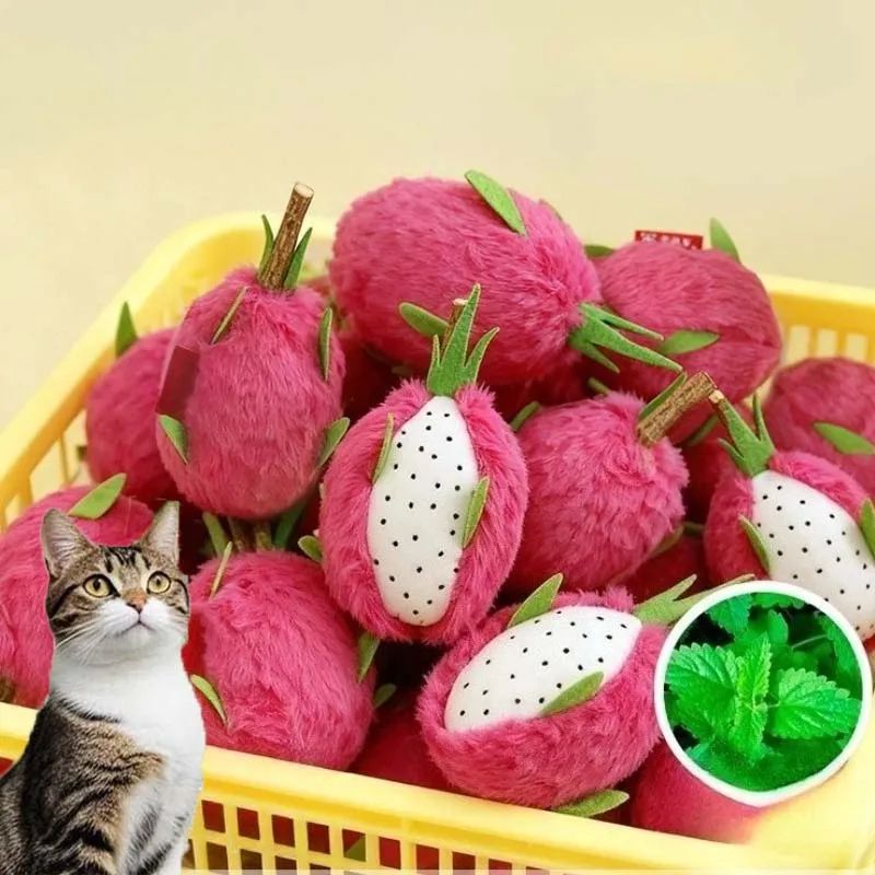 Dragon Fruit Catnip Plush Chew Toy Interactive Teeth Cleaning Cat Toy