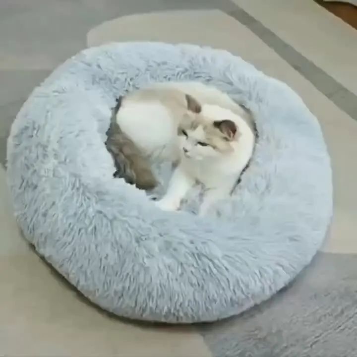 Round Plush Dog Bed and Cat Bed with Soft Faux Fur and Non Slip Base