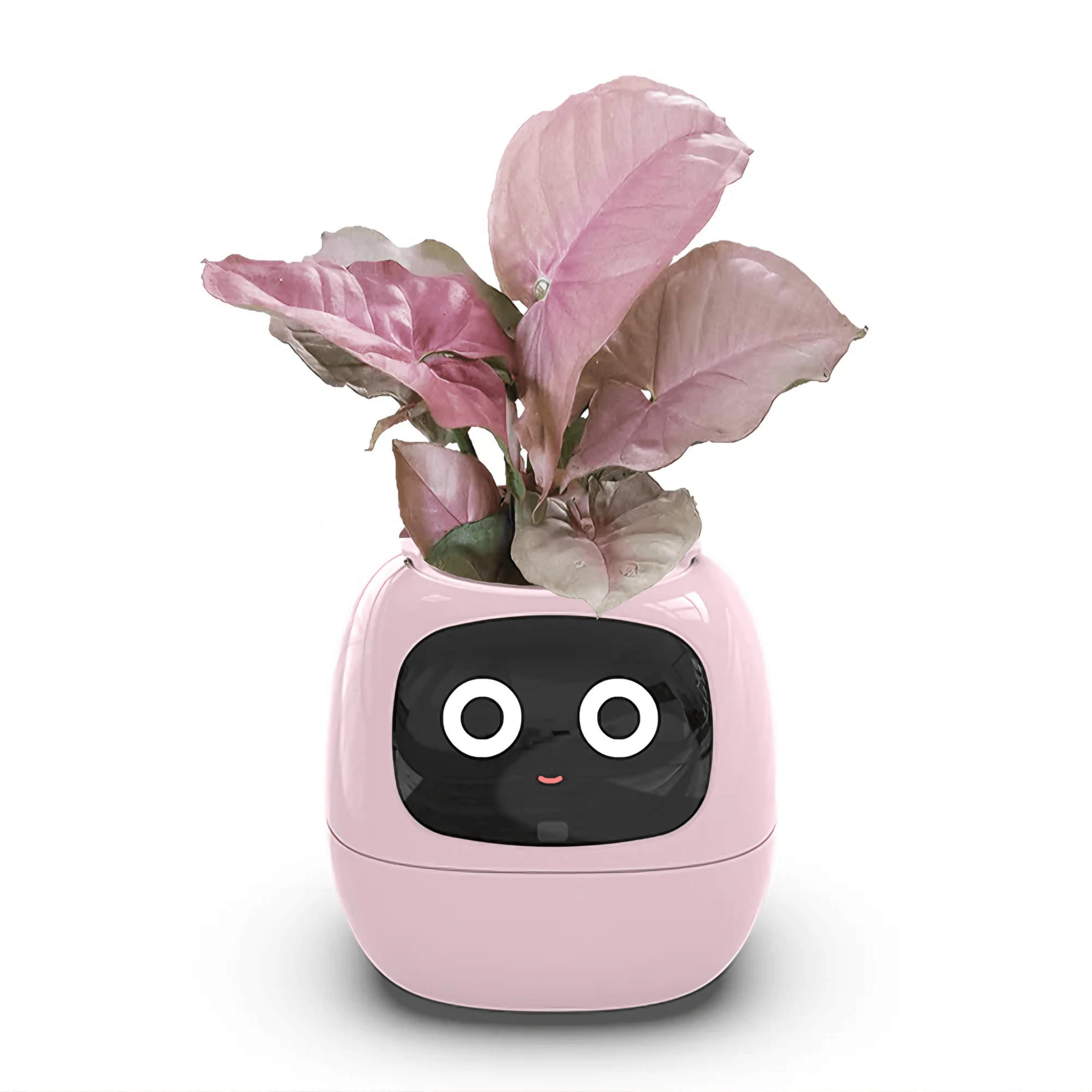 Ivy Smart Plant Pot with AI Sensors and 49 Facial Expressions for Easy Indoor Gardening