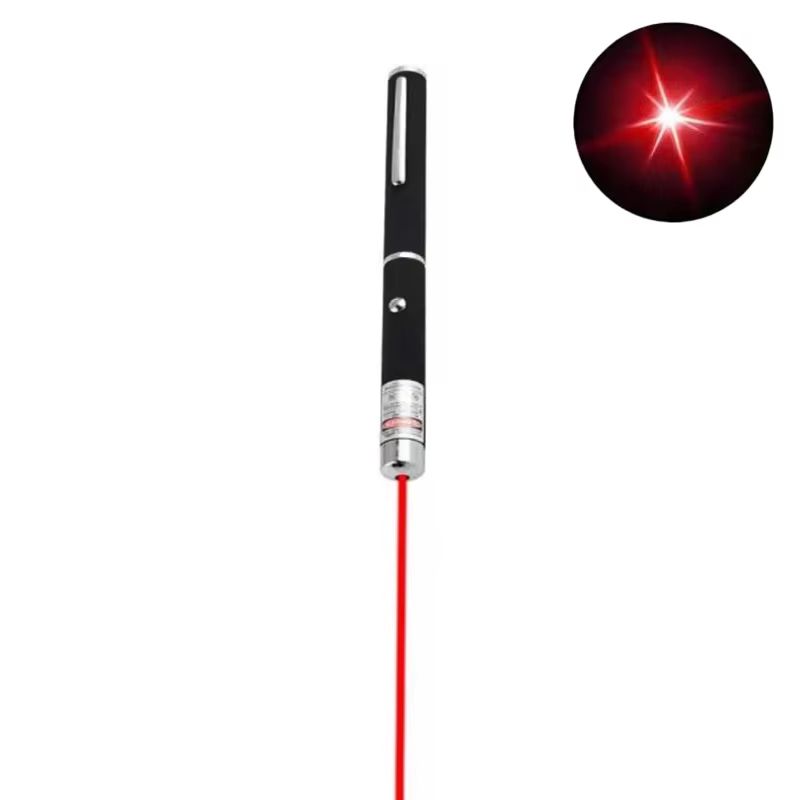 2-in-1 Mini Laser Pointer and LED Pet Training Flashlight for Cats and Small Pets