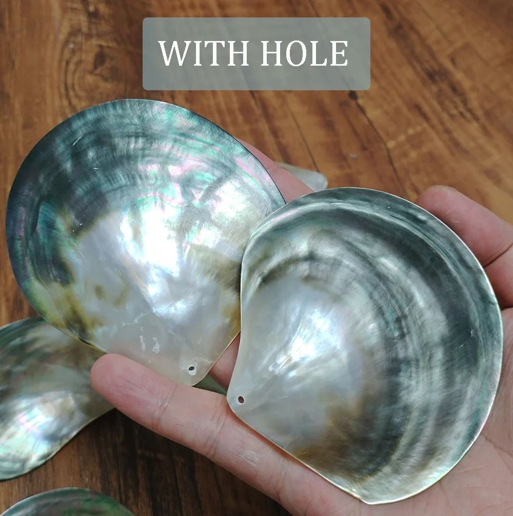 Black Mother of Pearl Shell Beads Polished Natural Pinctada Craft Decor