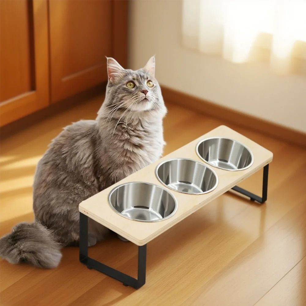 Elevated Tilted Cat Bowls with Stainless Steel Feeding Set for Cats and Small Dogs