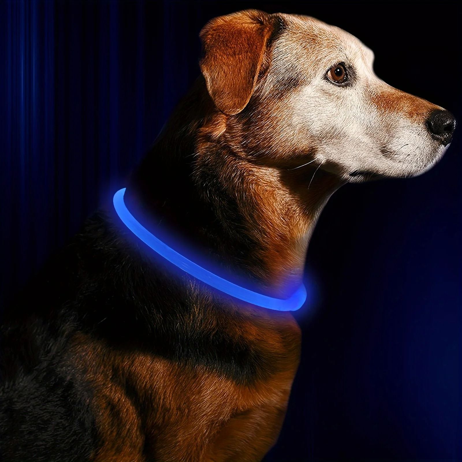 Pet Dog LED Light Collar Luminous Anti Lost USB Rechargeable Necklace