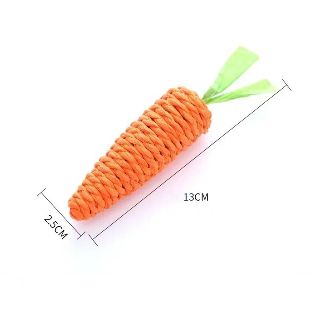 Interactive Carrot Squeak Chew Toy for Cats and Small Dogs
