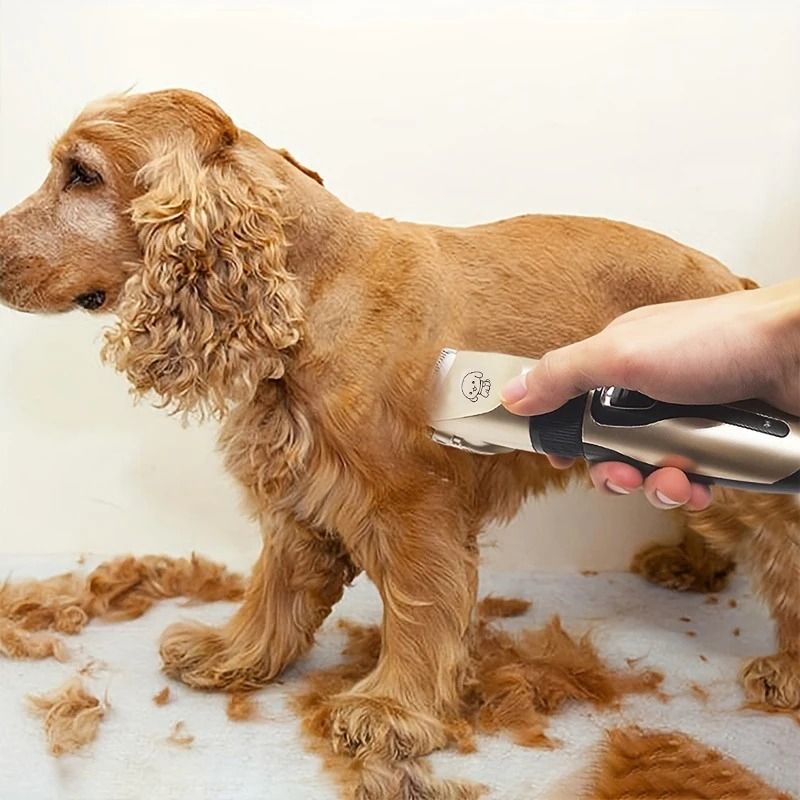 Pet Hair Trimmer Kit Electric Precision Clippers for Dogs and Cats