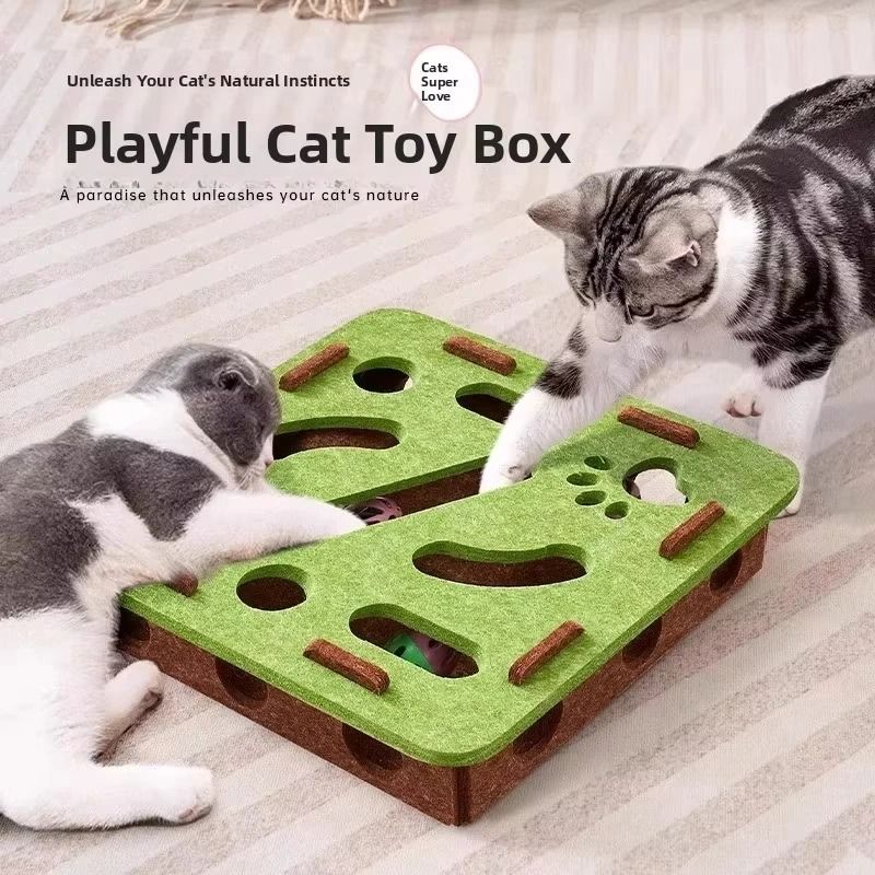 Felt Puzzle Box Cat Toy with Rolling Ball | Inspire Uplift