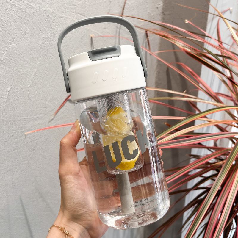 Hydra Go Large Capacity Water Bottle with Straw and Portable Carry Handle