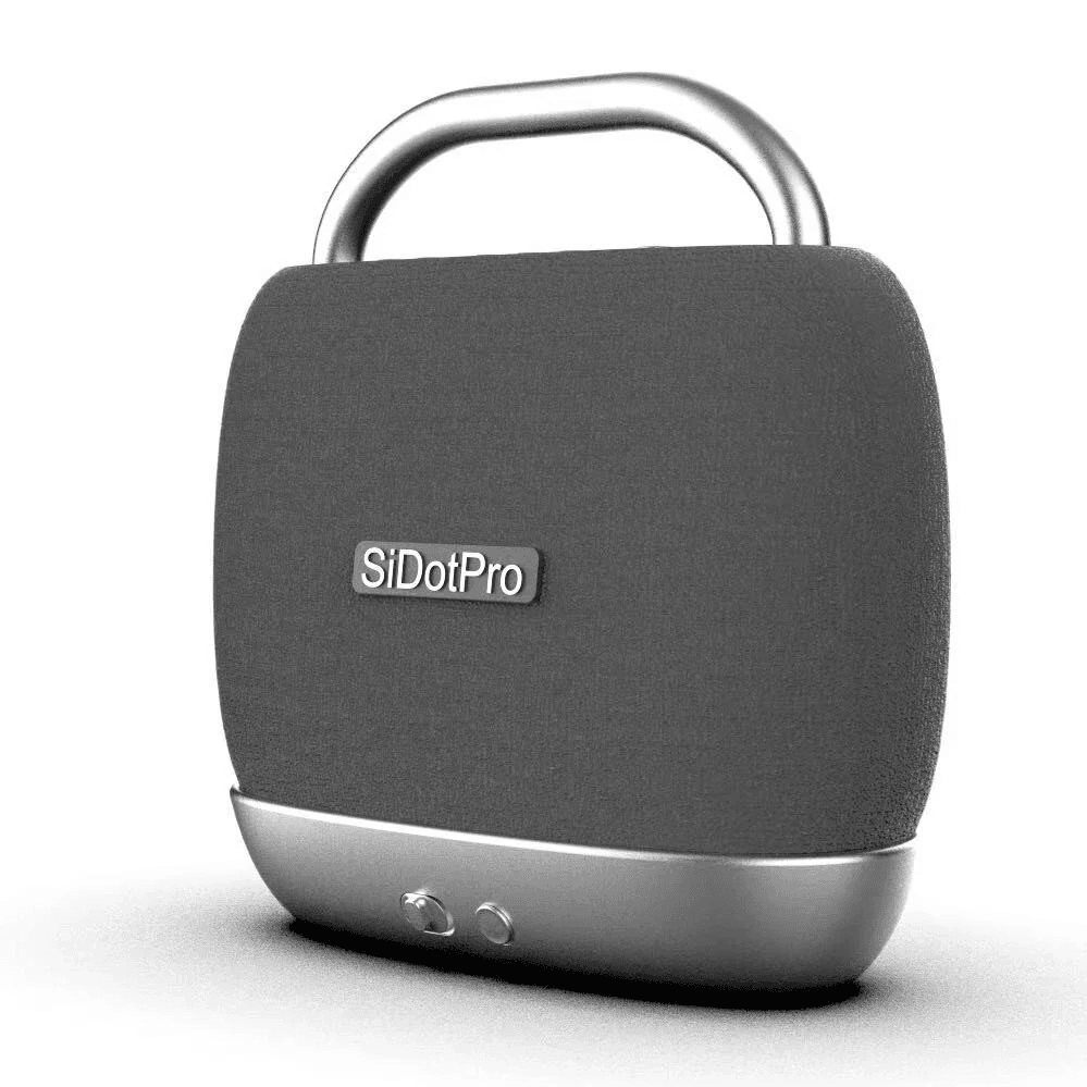 Wireless TV Speaker with Bluetooth Output and Battery