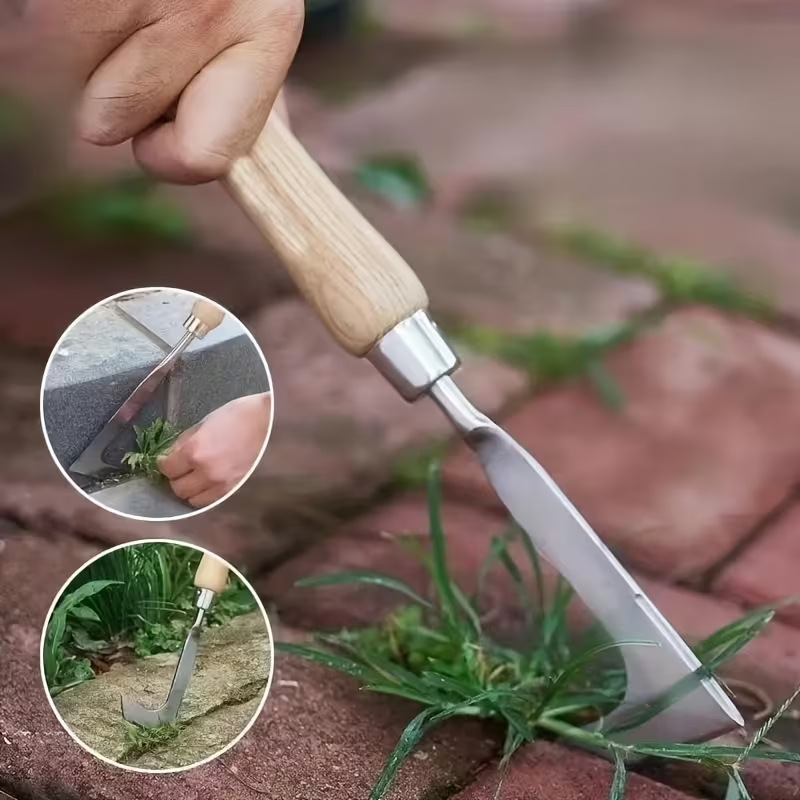 Stainless Steel Manual Weed Remover for Driveways and Pavement