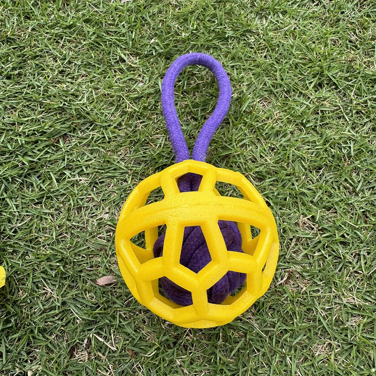Durable TPR Dog Chew Ball with Rope Handle Interactive Training Toy