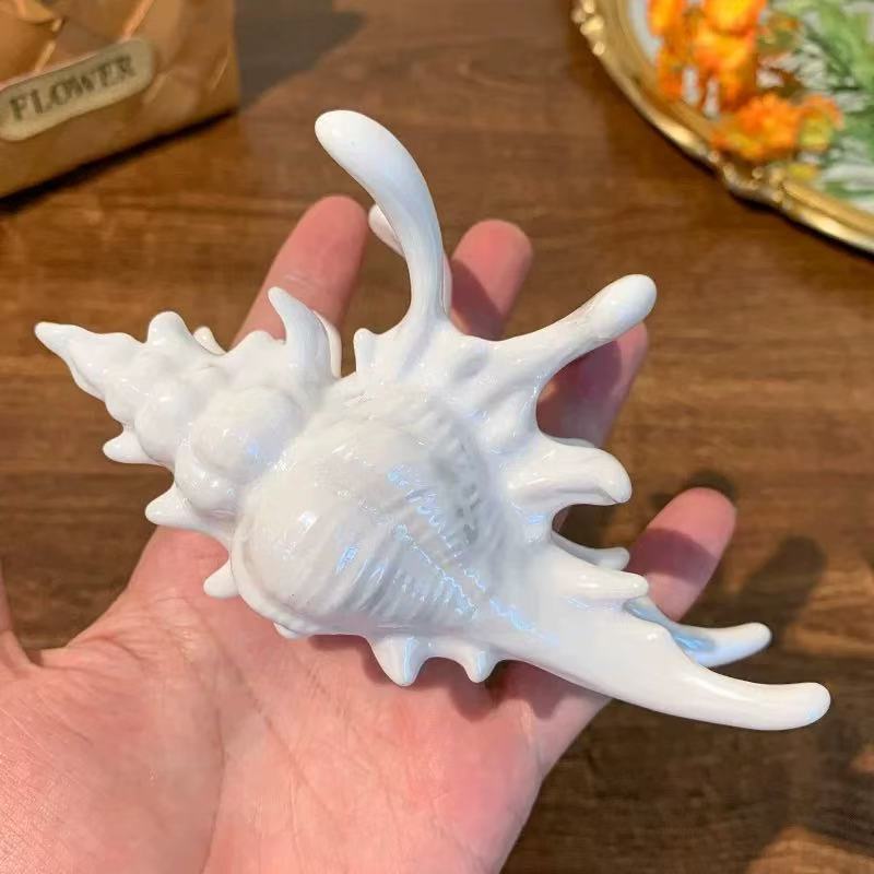 Acrylic Sea Shell Hair Claw Clip for Beach and Spring Summer Hairstyles