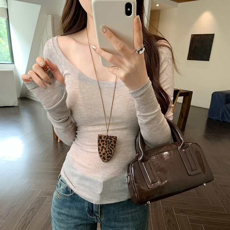 Women's Long Sleeve Sheer Top Stretch Mesh Basic Slim Fit T Shirt
