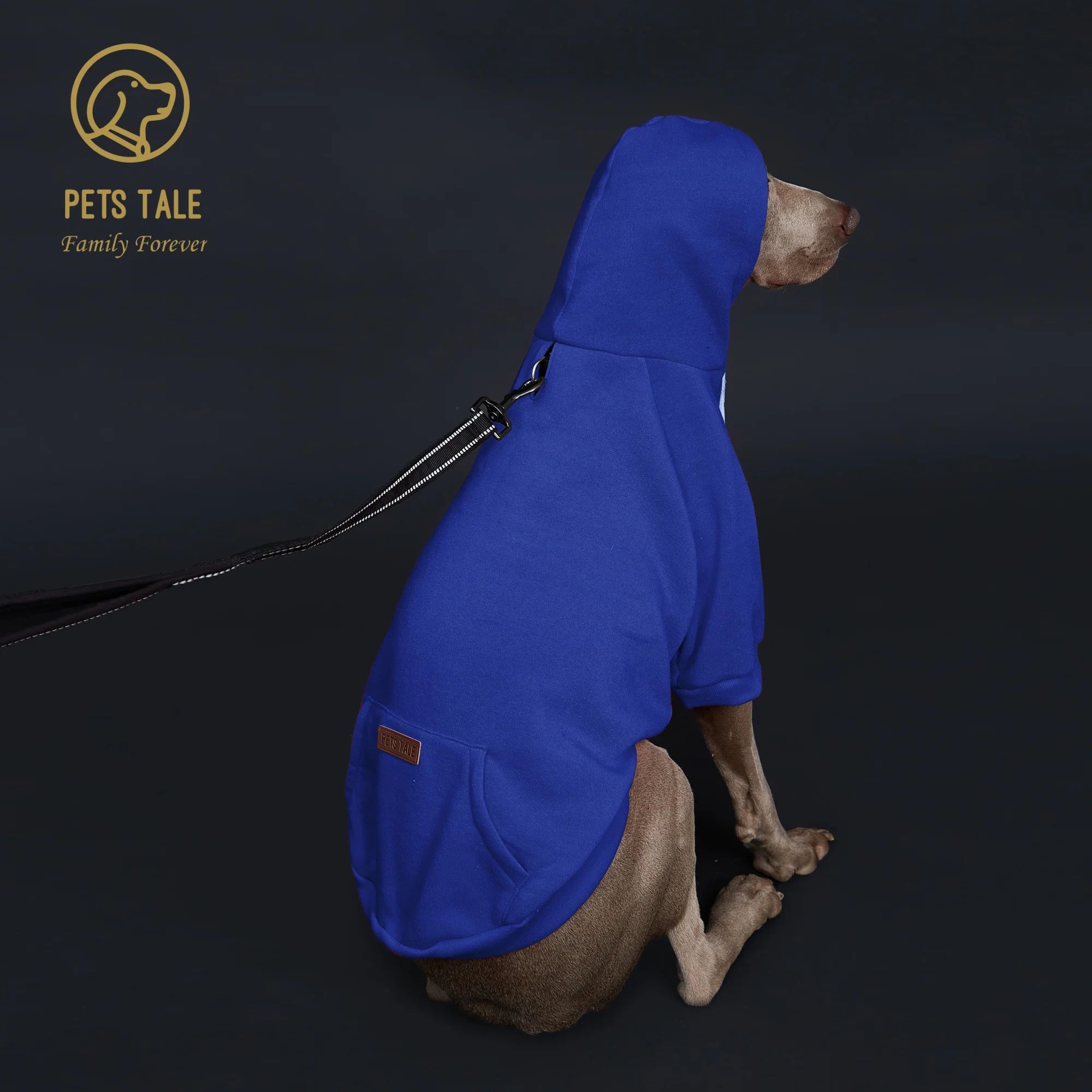 Dog Hoodie with Pocket & Leather Patch – Adjustable Pet Sweatshirt with Hook and Loop Collar