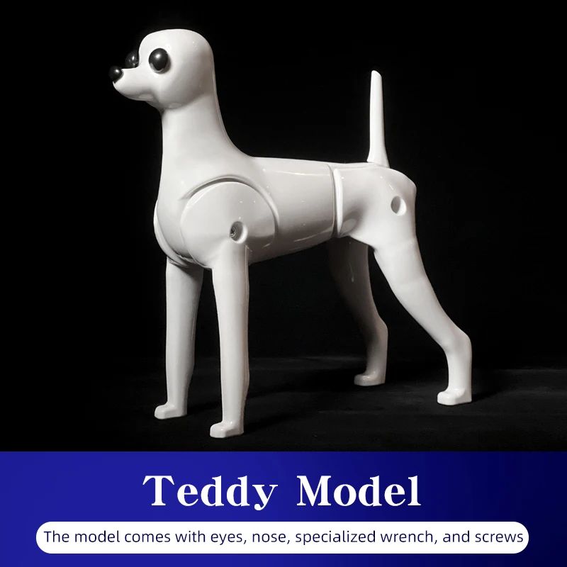 Professional Teddy Dog Grooming Practice Model โ Full Body Plush Training Dog with Removable Head & Skeleton Frame