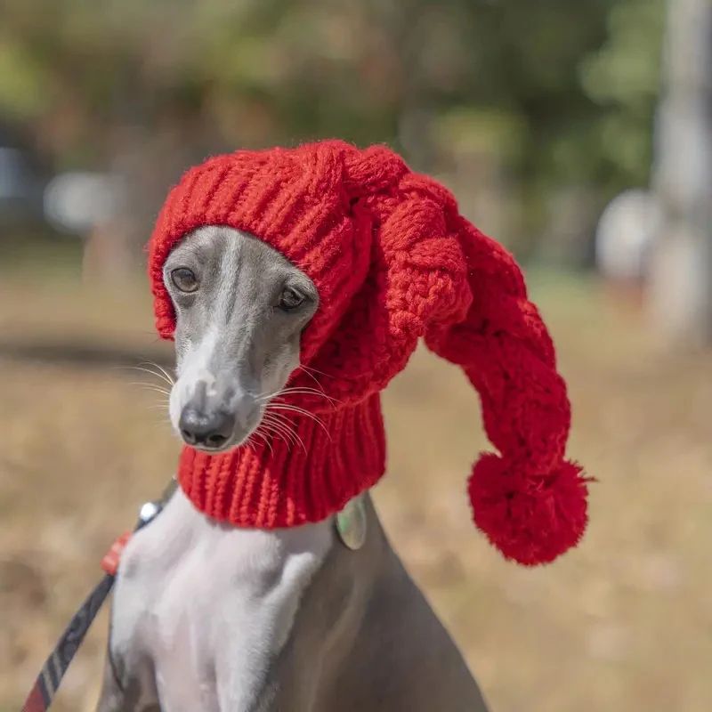 Hand Knit Fleece Dog Snood Hat – Warm Winter Beanie Ear Warmer for Greyhounds, Whippets & Large Dogs