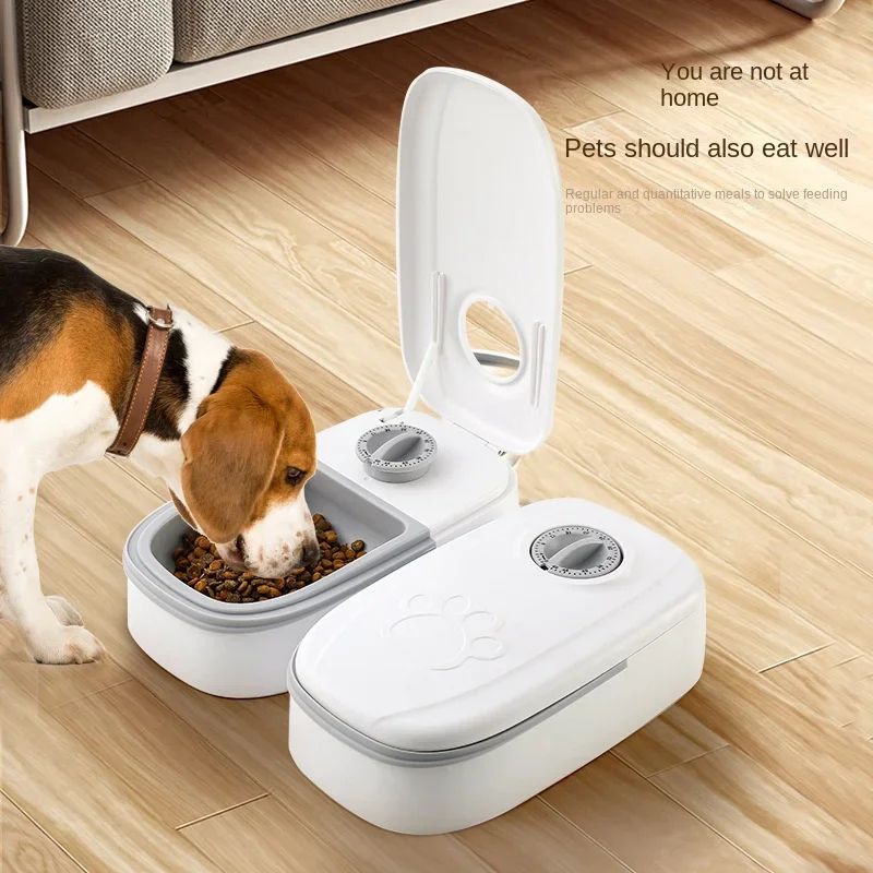 Automatic Pet Feeder and Water Bowl with Timer Storage