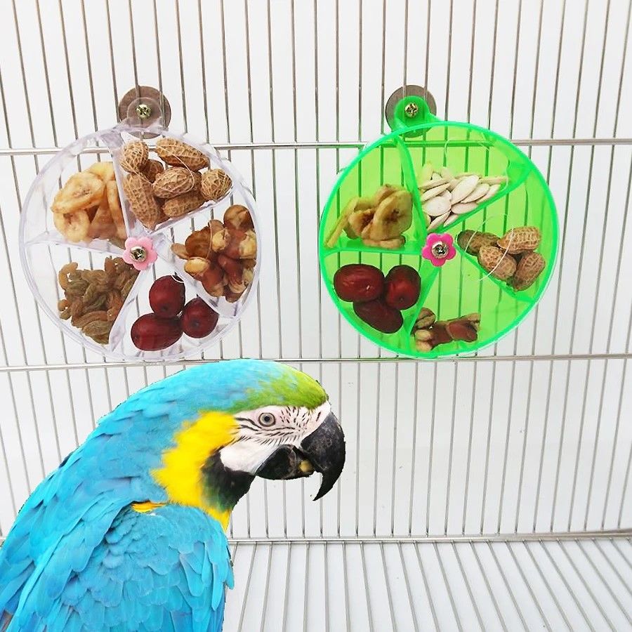 Picture of Ultimate Foraging Wheel Bird Toy – Rotate & Feed Parrot Acti | Inspire ...