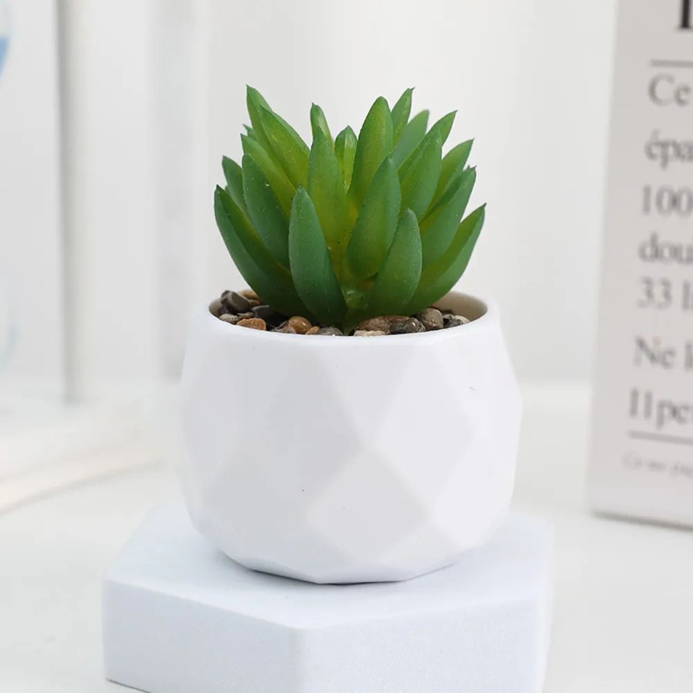 Evergreen Mini Artificial Succulent Bonsai - Realistic Fake Cactus Plant for Desk & Home Decor