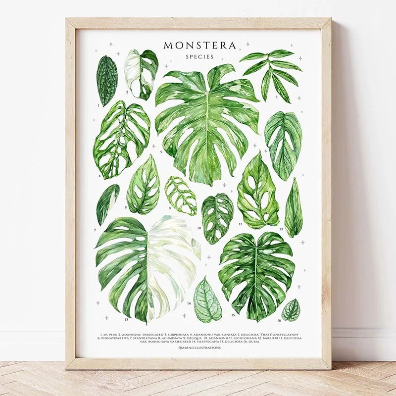 Botanical Wall Art Green Plant Canvas Print for Calm Modern Home Decor