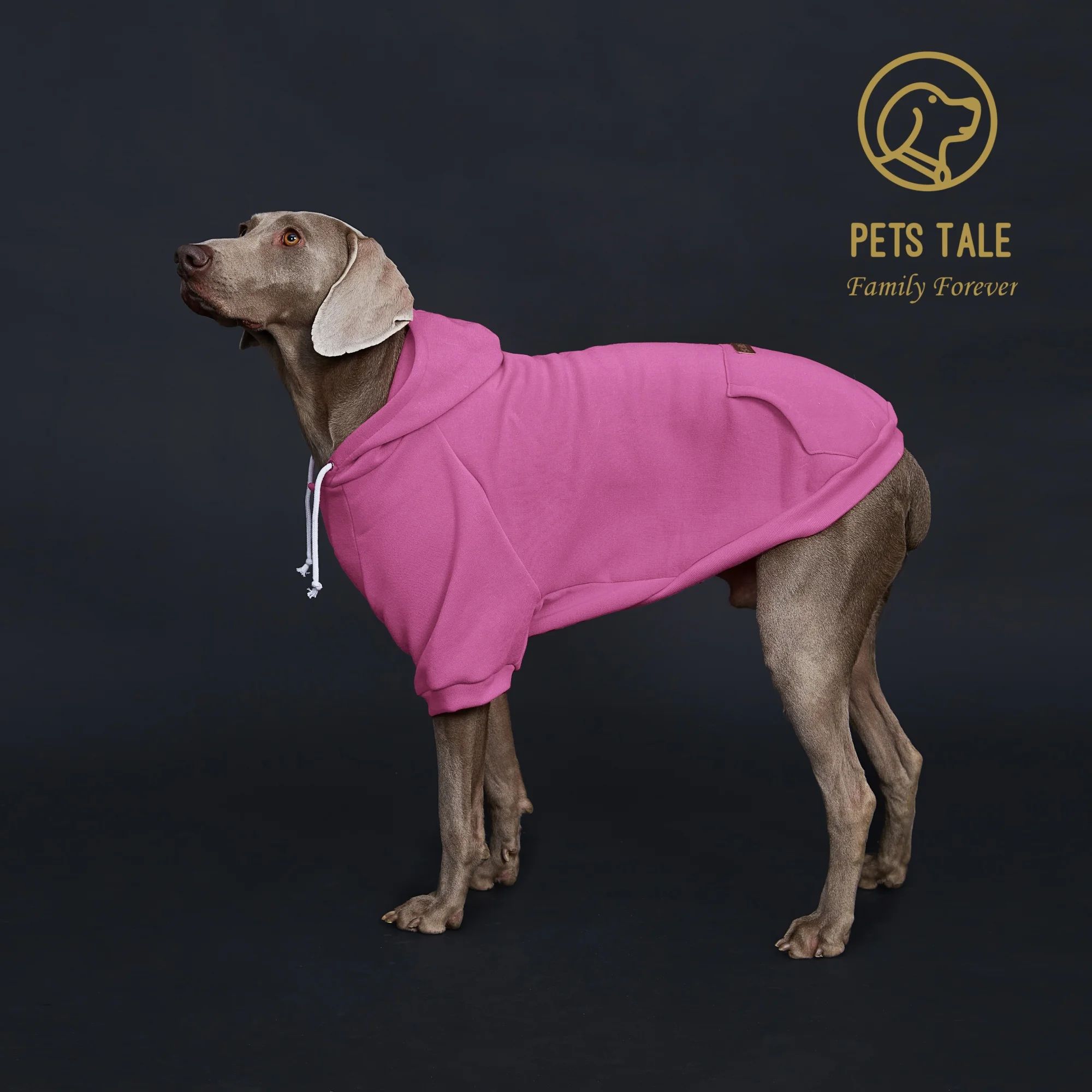 UrbanPaws Dog Hoodie with Pocket & Adjustable Collar for Small to Medium Dogs