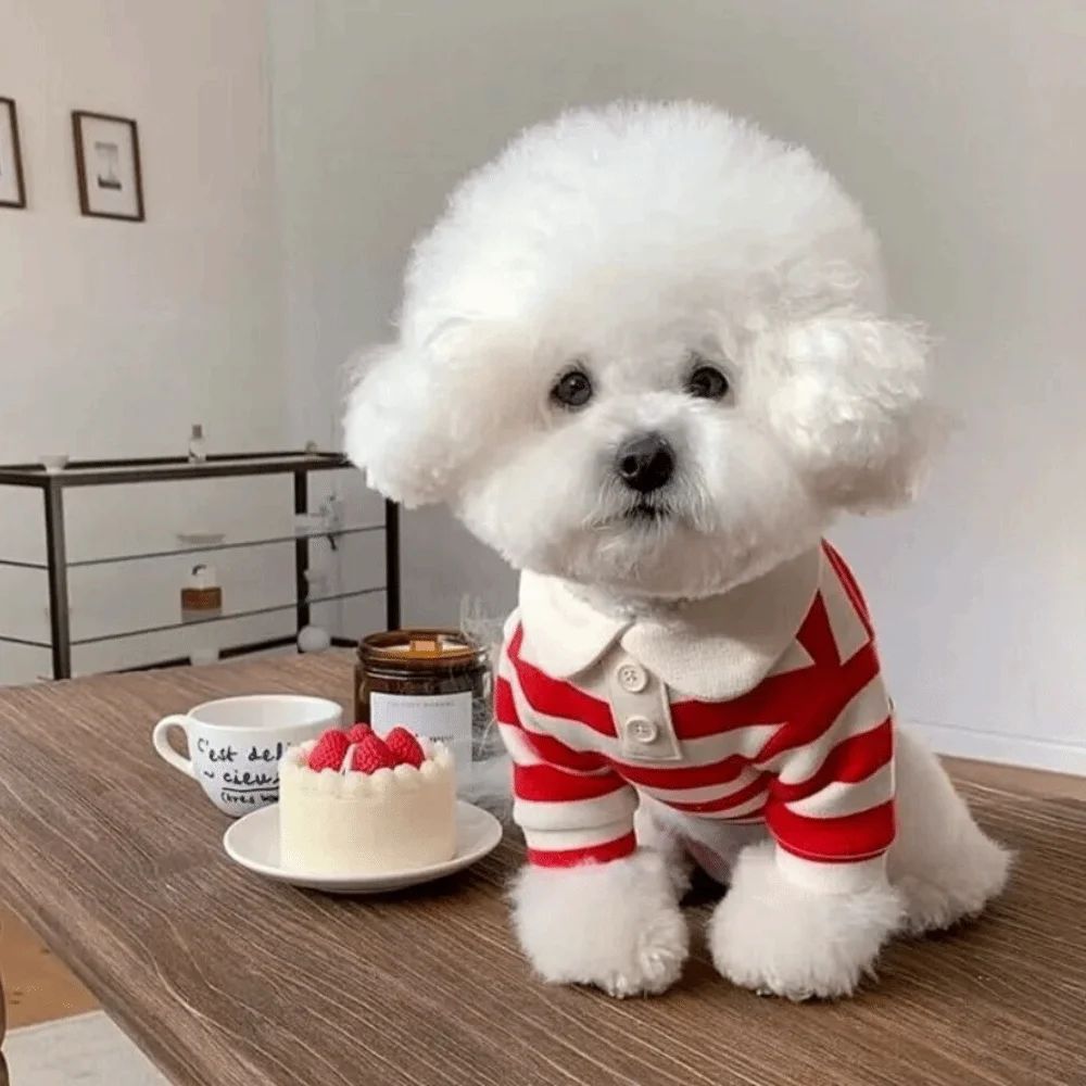 CoolBreeze Striped Dog Shirt with Polo CollarCoolBreeze Striped Dog Shirt with Polo Collar
