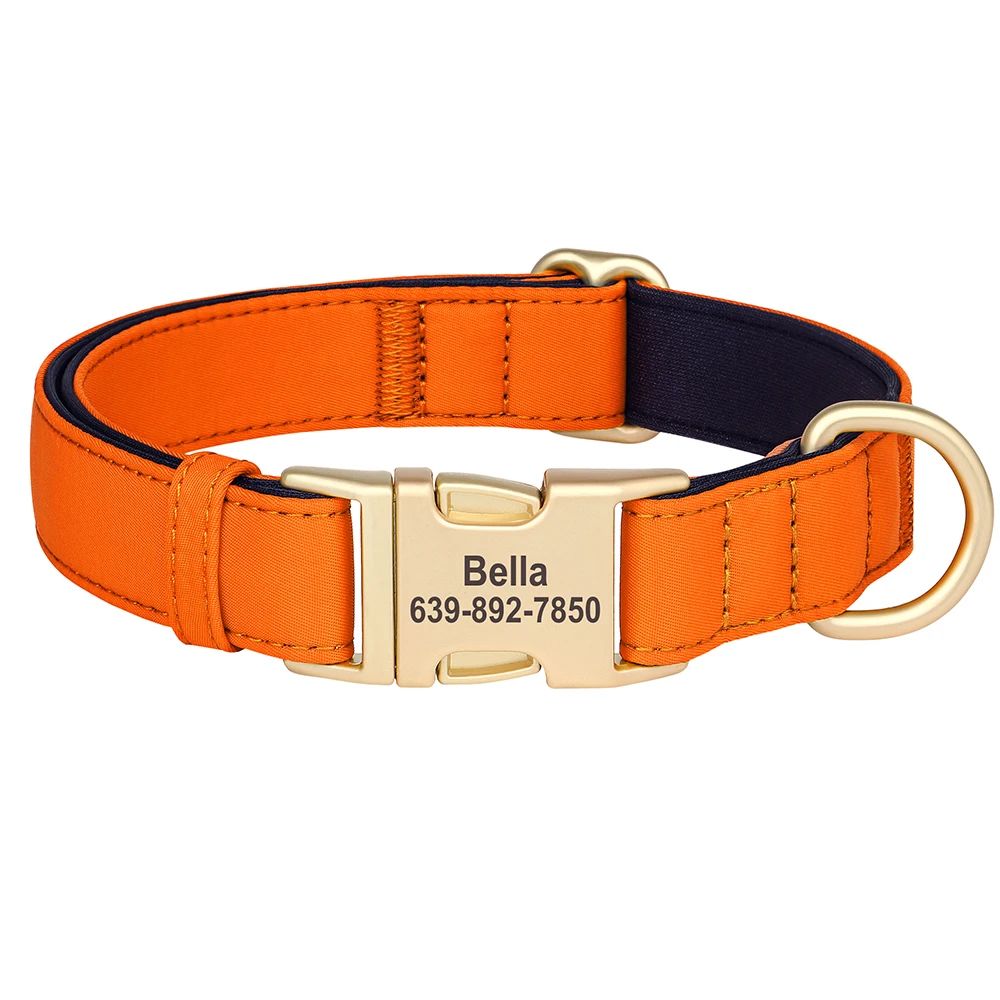Custom Engraved Waterproof Dog Collar with Soft Padding for Small, Medium & Large Dogs