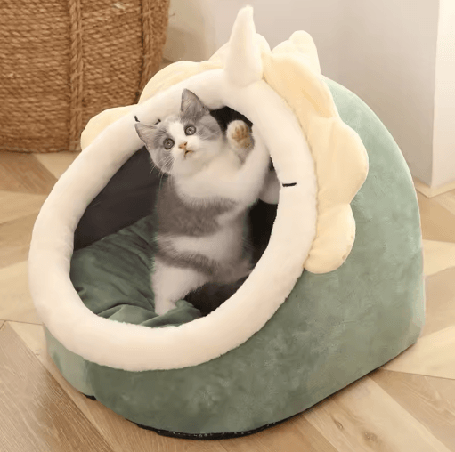 Deep Sleep Cartoon Cat Bed - Foldable Cave Pet Bed for Cats & Small Dogs