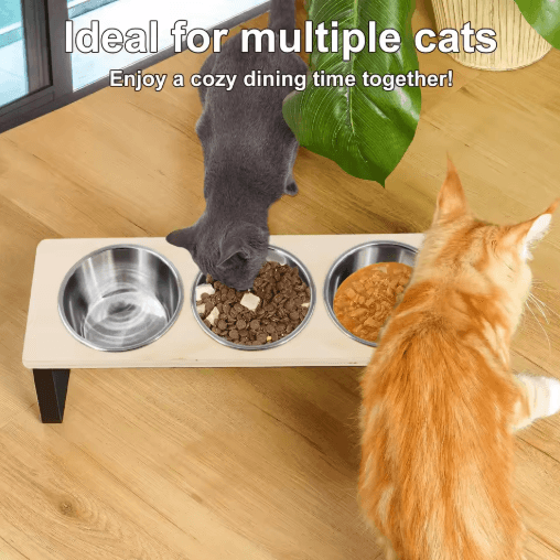 Cat Food Riser Elevated Cat Bowls Feeder with 15° Tilt & 3 Stainless Steel | Inspire ...