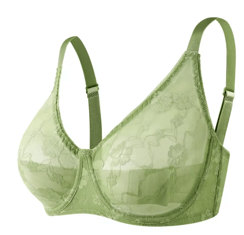 Sheer Lace Plus Size Underwire Bra for B–F Cups