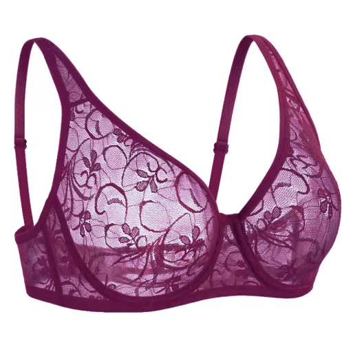 Plus Size Underwired Embroidered Lace Bra with Elegant Hollow Detail