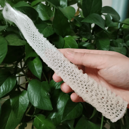 Natural Venus Flower Basket Sponge Euplectella Ocean Shell Decor