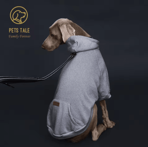 Solid Color Dog Hoodie with Pocket Soft Pet Sweatshirt with Adjustable Collar