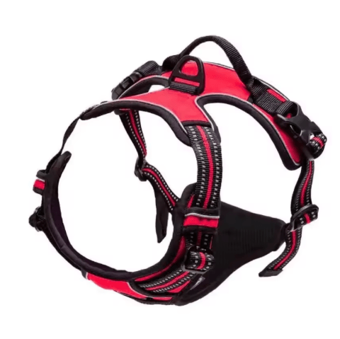 TrailGuard Leather Dog Harness Set with Collar & Leash for Small to Large Dogs