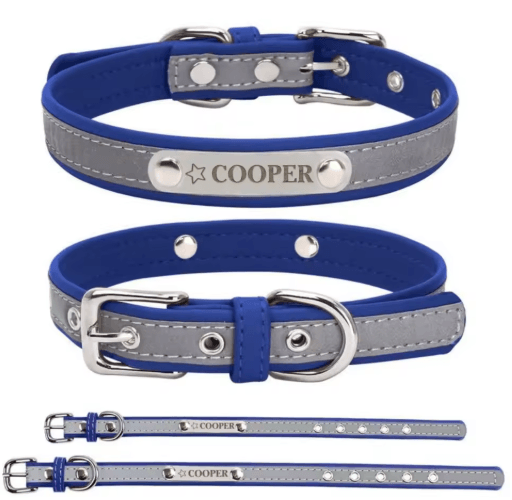PawSignature Personalized Leather Dog Collar with Custom Engraved Name Plate
