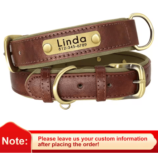 EliteTag Personalized Leather Dog Collar with Free Engraved Nameplate