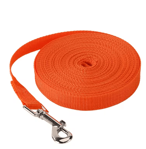 Long Training Dog Leash – Extended Nylon Rope Lead for Outdoor Walking & Puppy Training