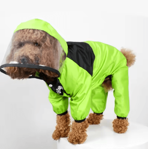 Transparent Hooded Pet Raincoat – Waterproof Jumpsuit for Dogs & Cats