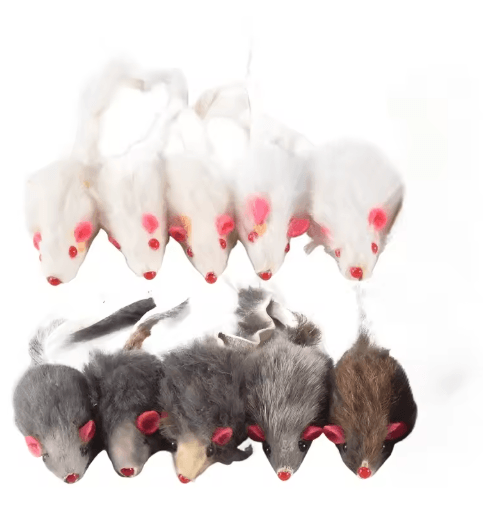 Plush Mouse Cat Toy 10-Pack Cat Toys for Hunting Chasing & Interactive Play