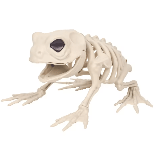 Halloween Skeleton Animal Decorations – Simulated Wolf, Frog & Crow Skeleton Props for Indoor & Outdoor Decor