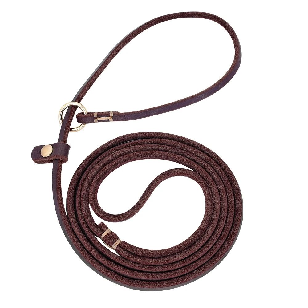 Leather Dog Leash with Slip Chain Collar for Small Dogs 4ft and 5ft Lengths