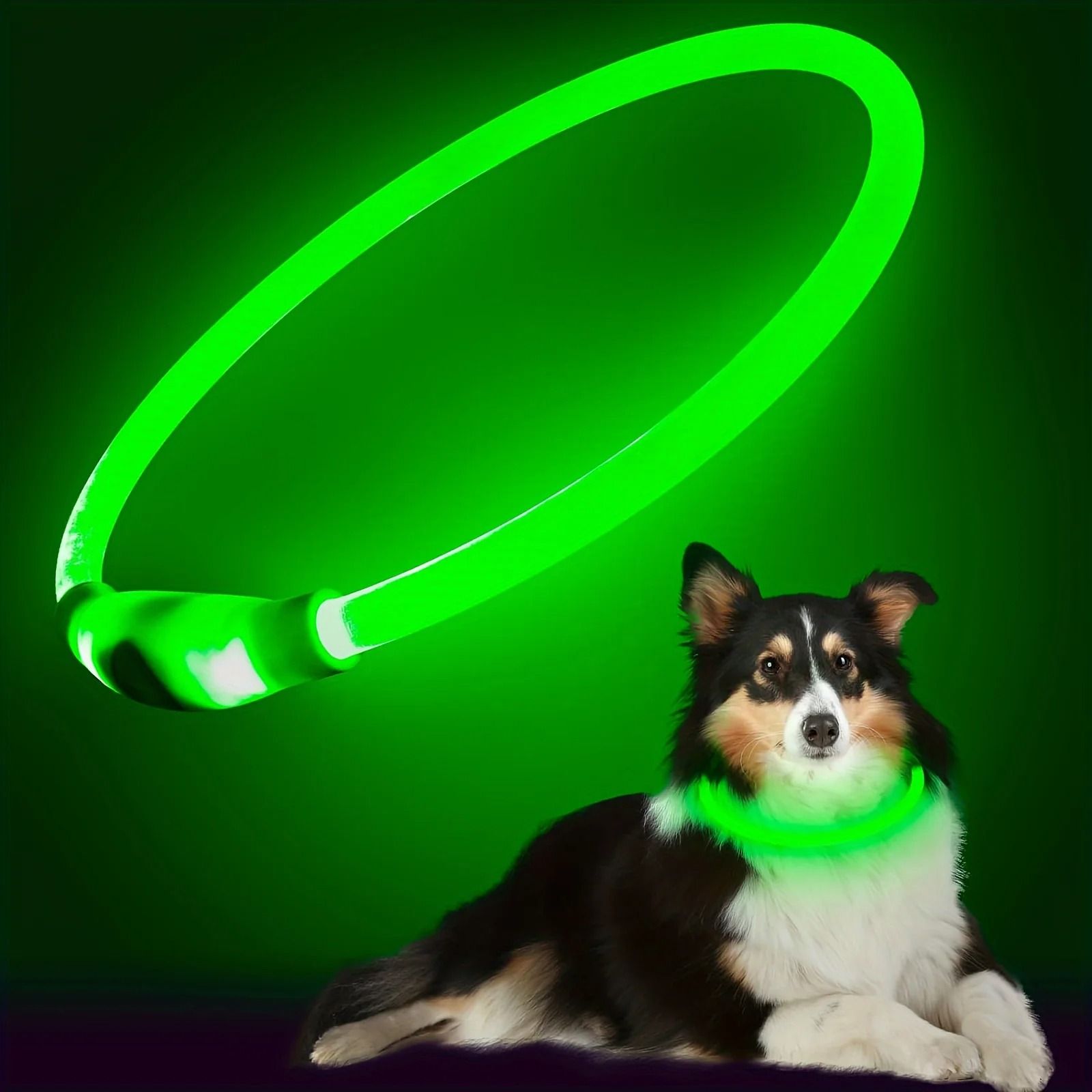 LED Dog Collar Rechargeable Glow Night Safety Luminous Pet Collar for Dogs