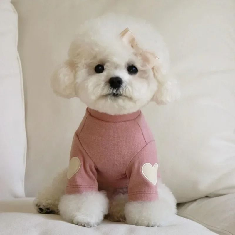 Cozy Bear Pet Hoodie Warm Dog Winter Clothes for Small Pets