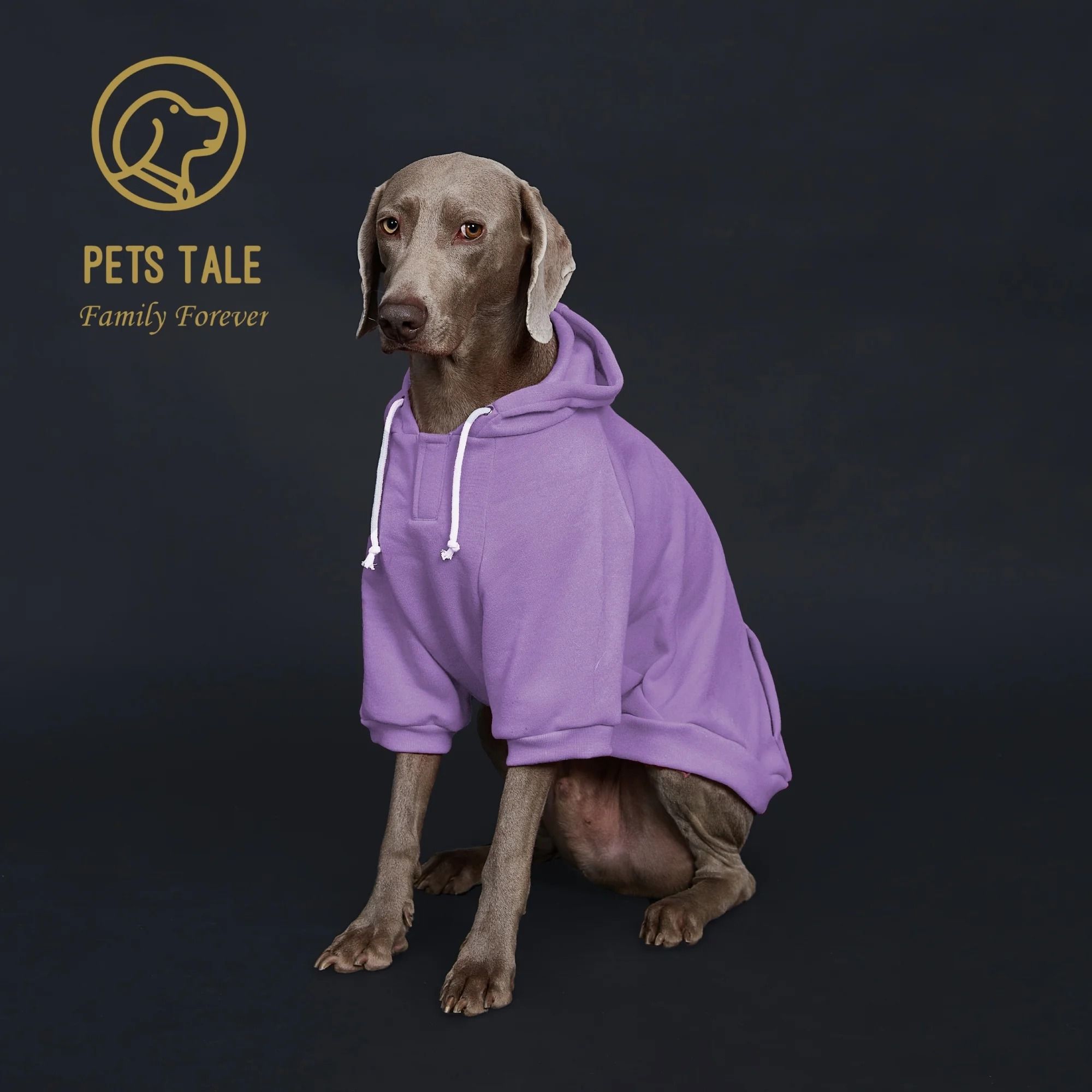 CozyPaws Solid Color Dog Hoodie With Pocket and Adjustable Collar