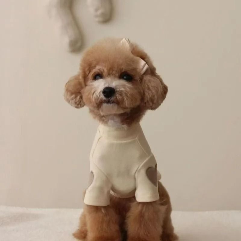 LoveBear Warm Dog Hoodie for Small Dogs and Cats